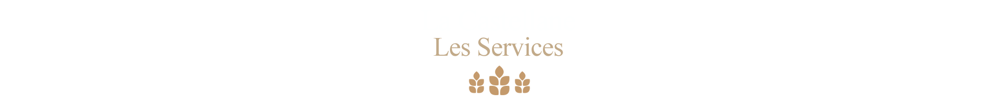 les-services-de--la-Castellane