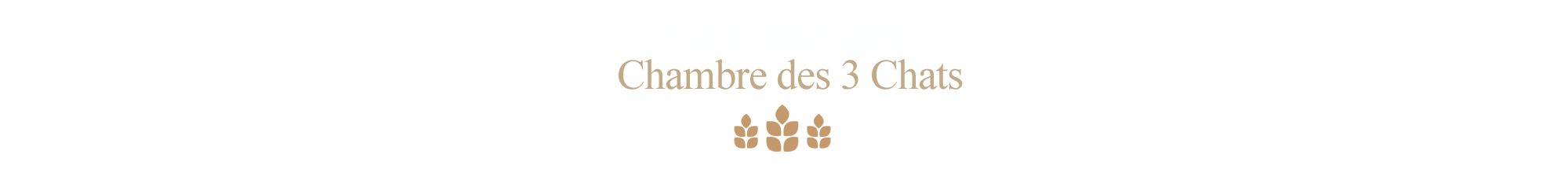 Chambre-des-3-chats-la-Castellane