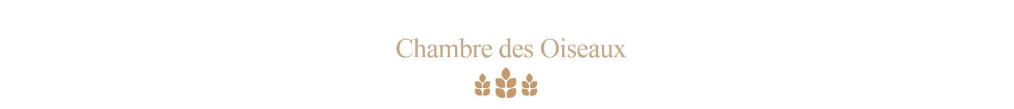 Chambre-des-oiseaux-la-Castellane