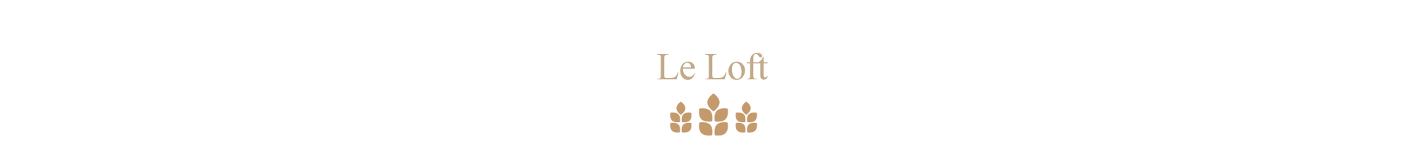 Le-Loft--la-Castellane